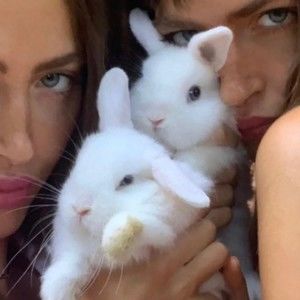 Meet your Posher, Brown